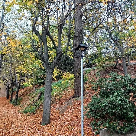 Viadegliortinumero3 *